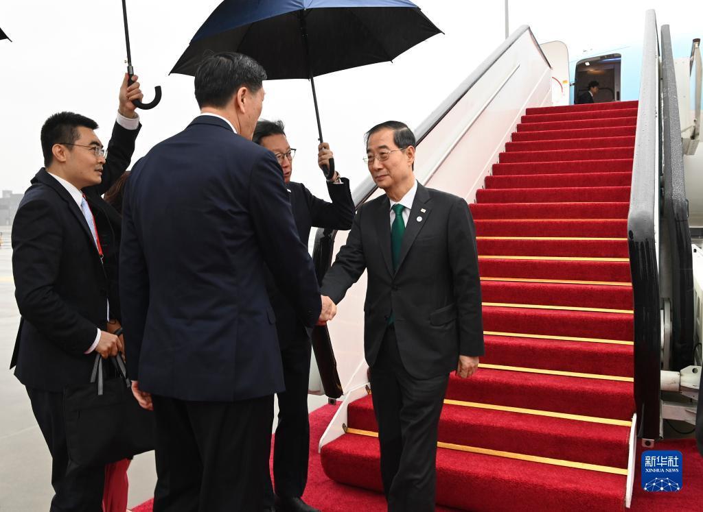 掌中娱乐安卓版